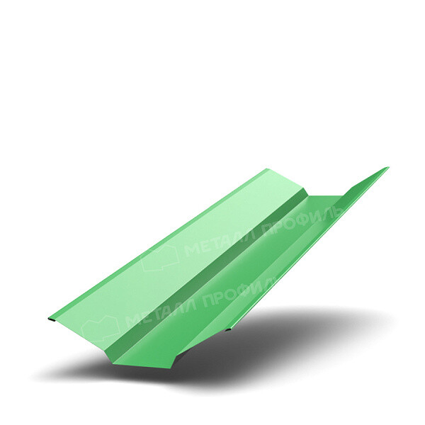 uploadresize_cacheiblock2f1xnzy64winpb31ka13g2e5yvy3ydsll3d600_600_1planka_endovi_verhnyaya_a_gla_6002.jpg